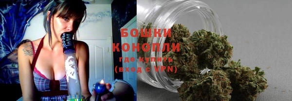 кокаин колумбия Богданович