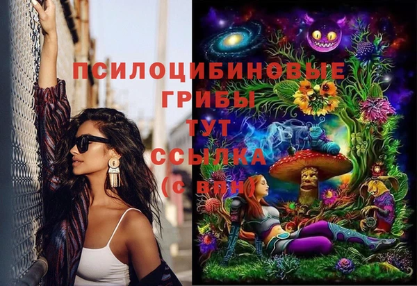 соль курить ск Богородск
