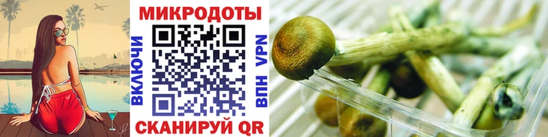 Галлюциногенные грибы GOLDEN TEACHER  ОМГ ОМГ вход  Городовиковск  дарнет шоп 